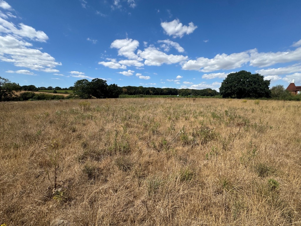 Lot: 85 - FREEHOLD LAND EXTENDING TO ALMOST 8.5 ACRES - View of the field 2